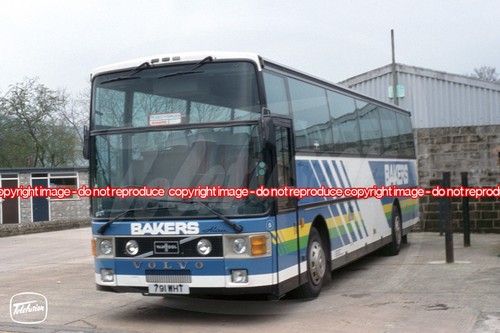 Coach photo bakers dolphin - photo,
