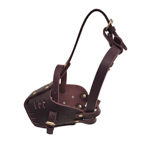 Strong real leather dog - strong,