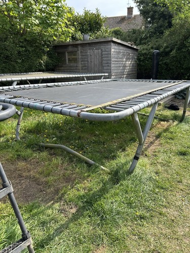 Kangaroo supertramp trampoline - kangaroo,