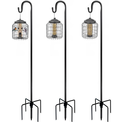 Bird feeding station outdoor - station,