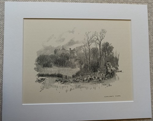 Belvoir hunt stewart - belvoir,