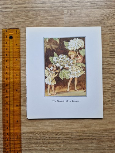 Cicely mary barker the - mary,