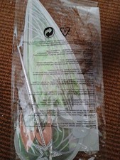 Fairytale Enchanted  Elf Fairy Tinker Bell  Wings Wand Ears  Bookweek Storybook