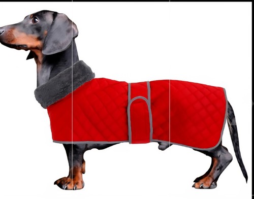 Dachshund dog fleece - fleece, linned