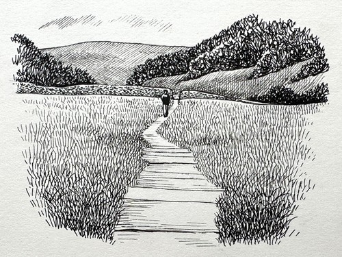 Muker meadow pen ink - muker,