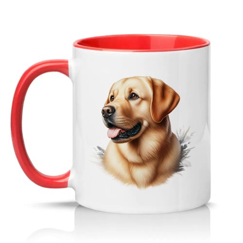 Yellow labrador retriever - labrador,