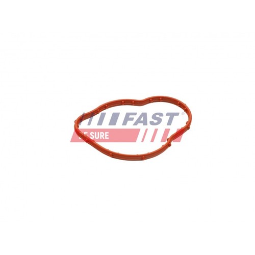 Joint boitier thermostat - thermostat, d'eau