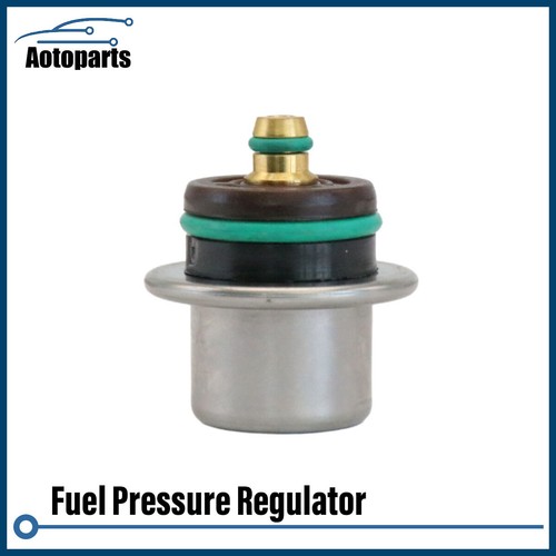 Fuel pressure regulator for - fuel,