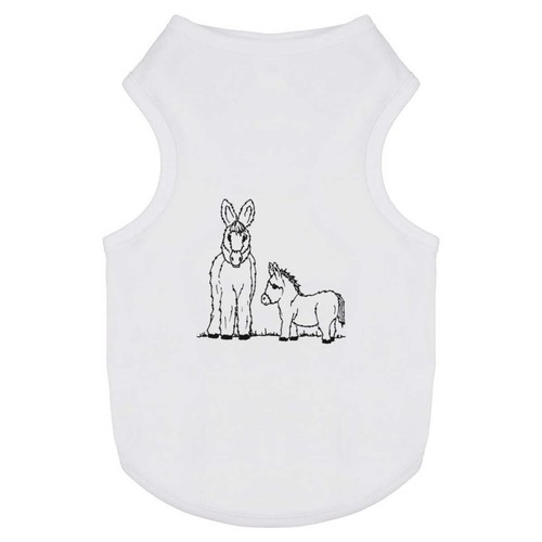 Donkey foal pet dog - dog, /