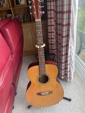 Freshman FA1FN 6 String Right Handed Acoustic Guitar