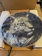 Cubs of The Big Cats JAGUAR