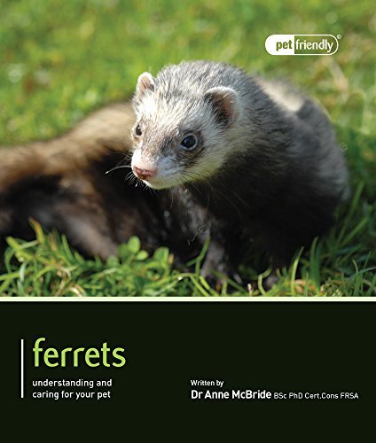Ferrets pet friendly - -,