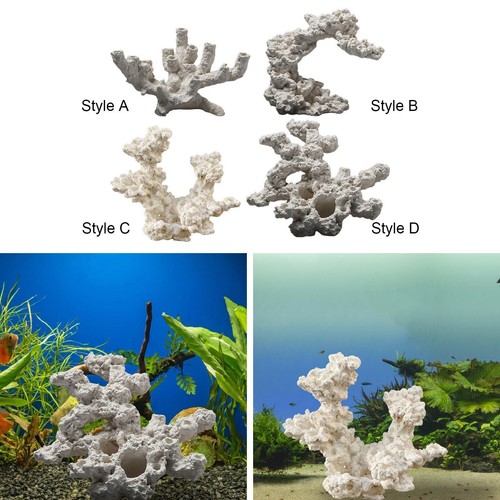 Aquarium decoration anemone - aquarium, decoration:
