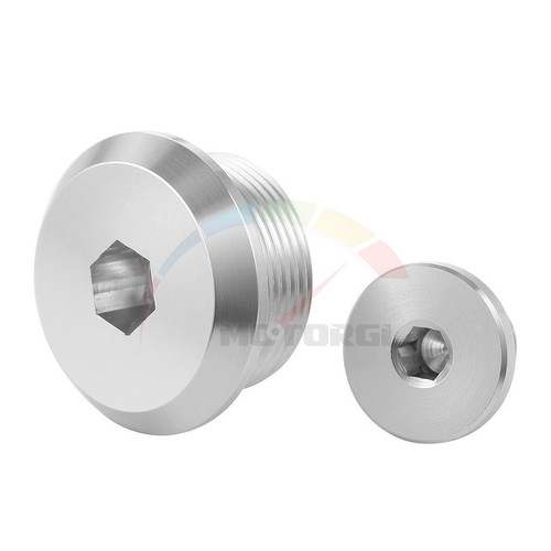 Crankcase centre cap bolt plug - crankcase,