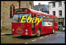 Bus Photo, Leyland Tiger Cub
