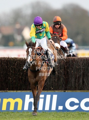Kauto star ruby walsh 2011 - ruby,