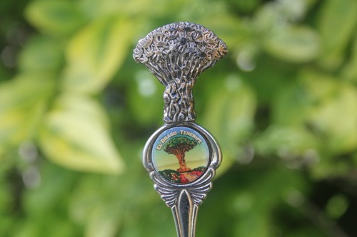 Vintage spoon tenerife canary - spoon,