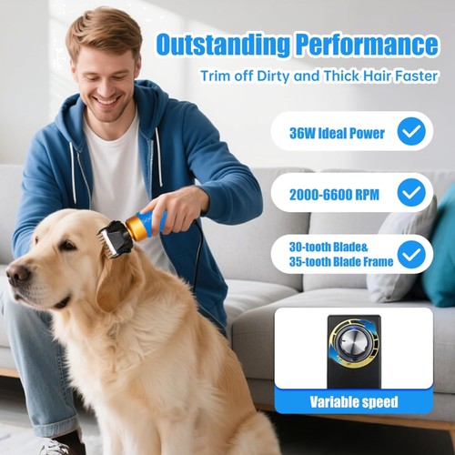 Durable 200w electric sheep - electric,