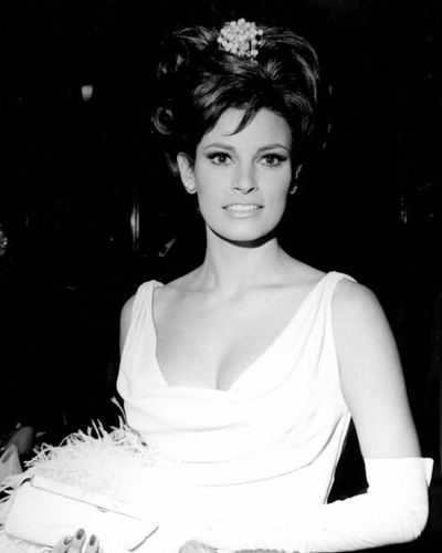 Raquel welch 1038000 8x10 - welch,