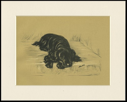 Cocker spaniel vintage - vintage, dog