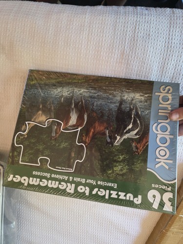 Springbok puzzle remember - springbok,