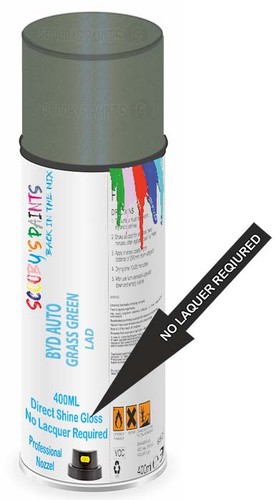 Paint for byd auto - for, grass