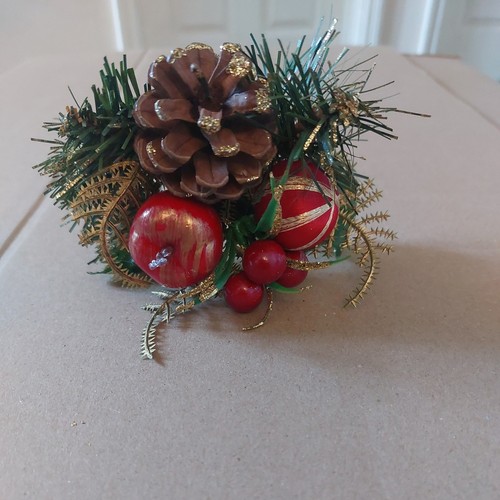 Pine cone and foliage - pine,