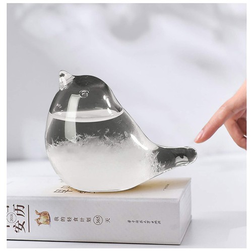 Storm glass weather - storm,