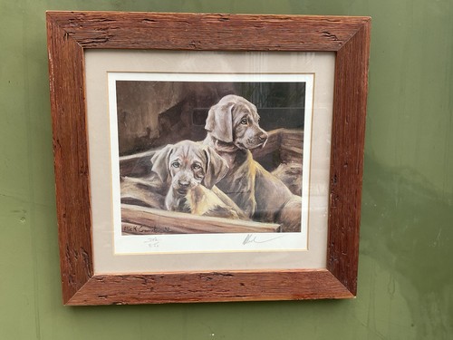 Mick cawston limited edition - mick,
