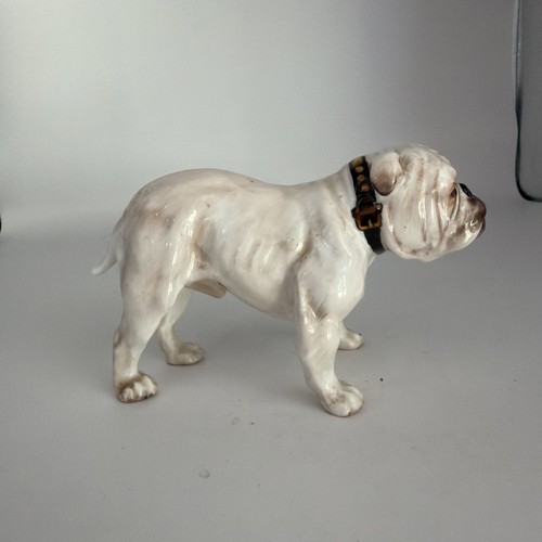 Royal doulton white bulldog - white,