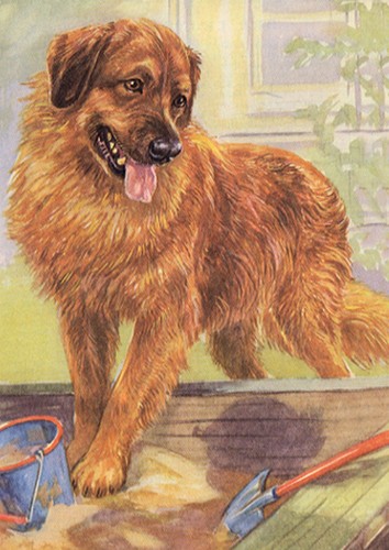 Leonberger dog card greeting - leonberger,