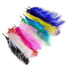10pcs Ostrich Feathers Plume