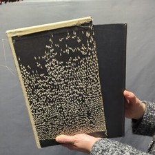 Thomas Kinsella The Tain IUP