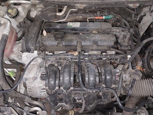 Engine ford fiesta - engine,