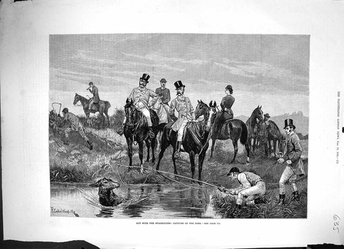 Antique old print - antique,