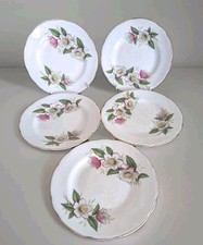 5 X Regency Christmas Rose Tea/Cake Plate Bone China