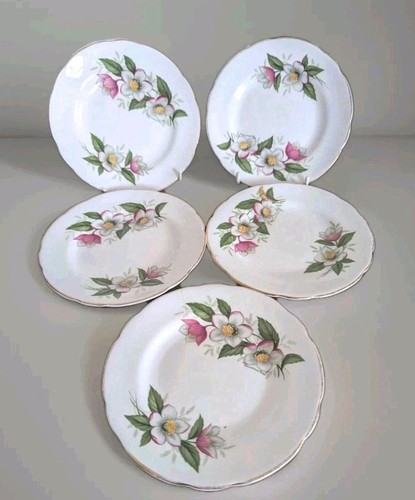 Regency christmas rose - x,