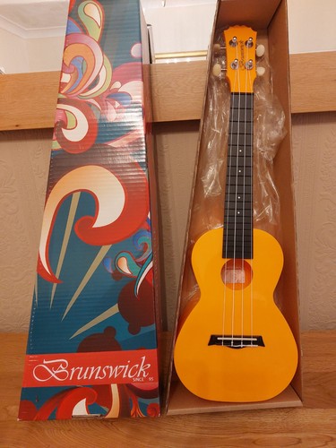 Brunswick concert ukulele - concert,
