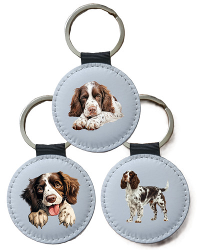 English springer spaniel - springer,