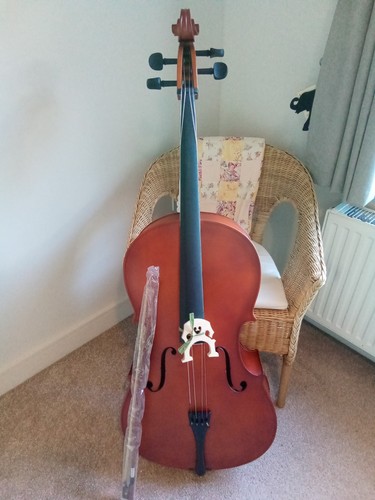 Brand new cello full size - cello,