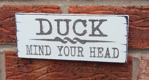 Duck mind your - your, fun