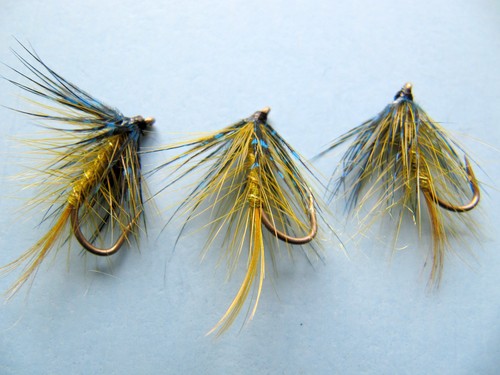 Golden olive irish bumble - x,