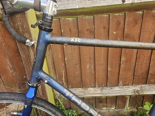 Thorn xtc reynolds - reynolds, 853