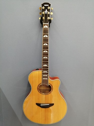 Yamaha apx1000 acoustic - apx1000,