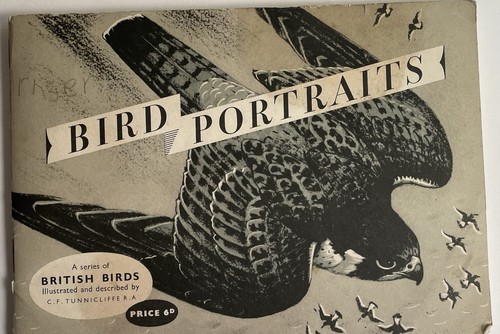 Brooke bond bird portraits - brooke, 3