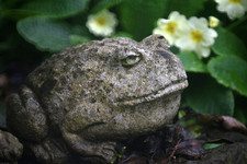 Vintage SIGMA XQ Mirror Ultra