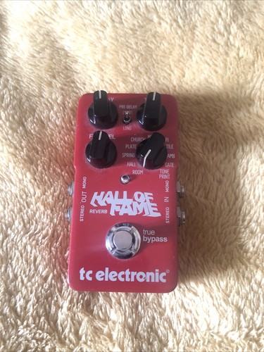 Electronic hall fame - hall,