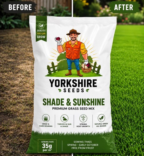 Premium shady area grass seed - shady,