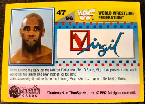 Wwf summer slam 1992 - slam, cards