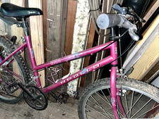 Purple Apollo 5100 zone